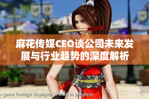 麻花传媒CEO谈公司未来发展与行业趋势的深度解析