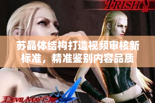 苏晶体结构打造视频审核新标准，精准鉴别内容品质