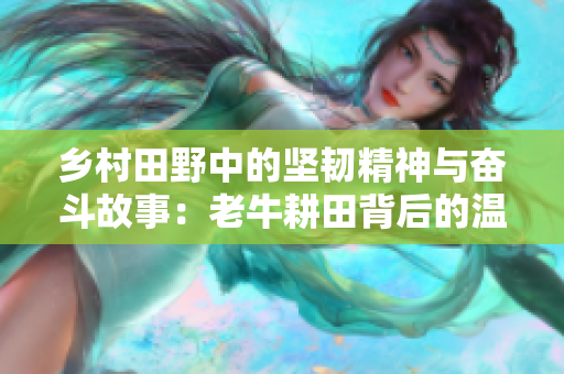 乡村田野中的坚韧精神与奋斗故事：老牛耕田背后的温情故事