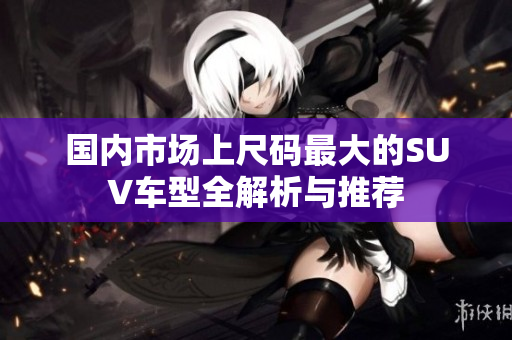 国内市场上尺码最大的SUV车型全解析与推荐