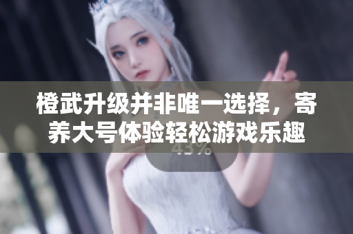 橙武升级并非唯一选择，寄养大号体验轻松游戏乐趣