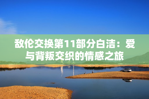 敌伦交换第11部分白洁：爱与背叛交织的情感之旅