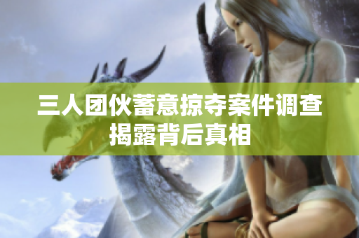 三人团伙蓄意掠夺案件调查揭露背后真相
