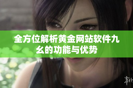 全方位解析黄金网站软件九幺的功能与优势
