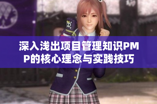 深入浅出项目管理知识PMP的核心理念与实践技巧