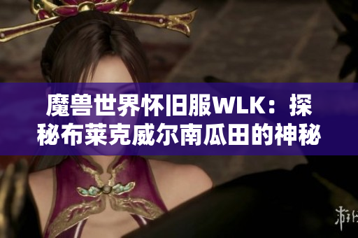 魔兽世界怀旧服WLK：探秘布莱克威尔南瓜田的神秘位置