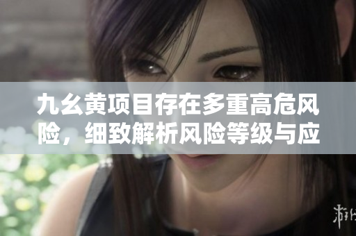 九幺黄项目存在多重高危风险，细致解析风险等级与应对措施