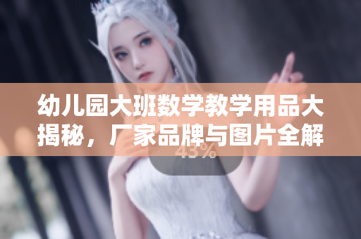 幼儿园大班数学教学用品大揭秘，厂家品牌与图片全解析