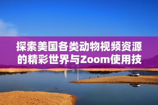 探索美国各类动物视频资源的精彩世界与Zoom使用技巧
