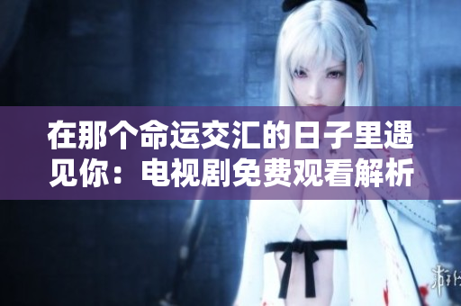 在那个命运交汇的日子里遇见你：电视剧免费观看解析