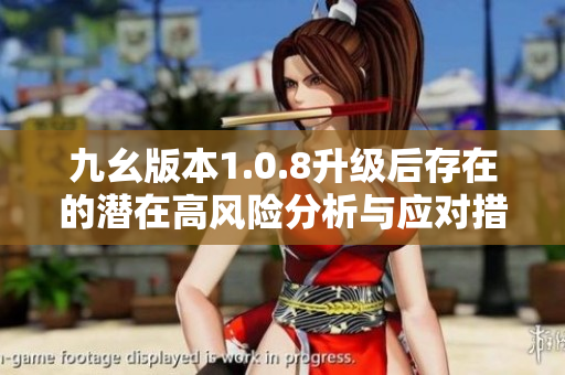 九幺版本1.0.8升级后存在的潜在高风险分析与应对措施