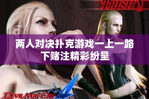 两人对决扑克游戏一上一路下赌注精彩纷呈