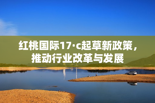 红桃国际17·c起草新政策，推动行业改革与发展