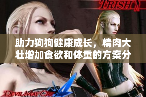 助力狗狗健康成长，精肉大壮增加食欲和体重的方案分享