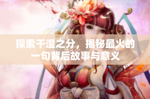 探索干湿之分，揭秘最火的一句背后故事与意义