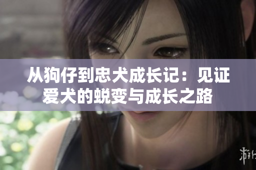 从狗仔到忠犬成长记：见证爱犬的蜕变与成长之路