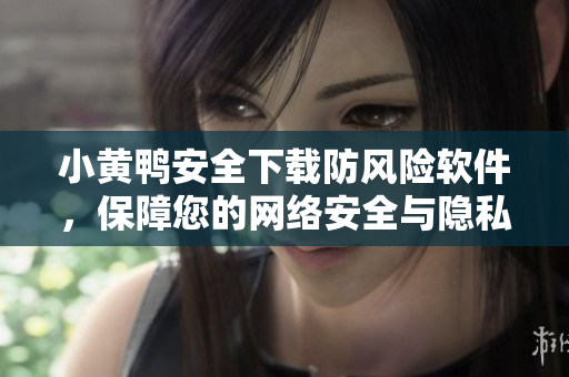 小黄鸭安全下载防风险软件，保障您的网络安全与隐私