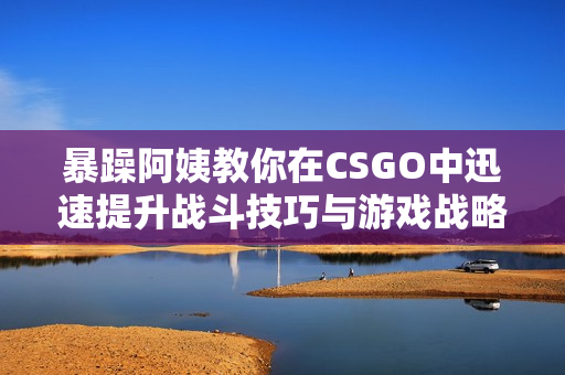 暴躁阿姨教你在CSGO中迅速提升战斗技巧与游戏战略