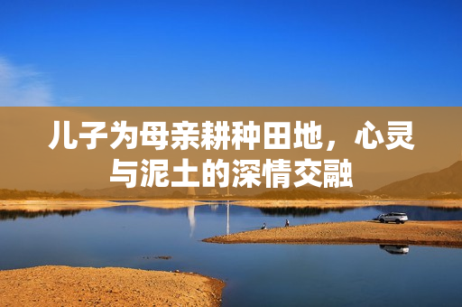 儿子为母亲耕种田地，心灵与泥土的深情交融