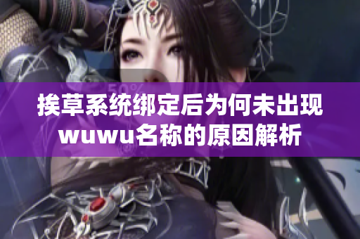 挨草系统绑定后为何未出现wuwu名称的原因解析