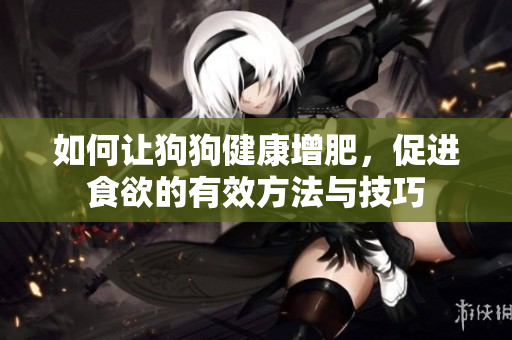 如何让狗狗健康增肥，促进食欲的有效方法与技巧