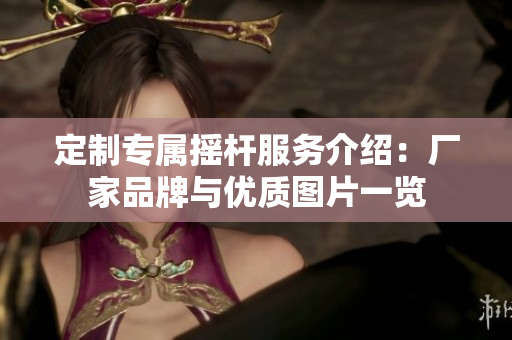 定制专属摇杆服务介绍：厂家品牌与优质图片一览