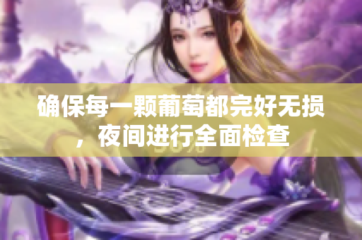 确保每一颗葡萄都完好无损，夜间进行全面检查