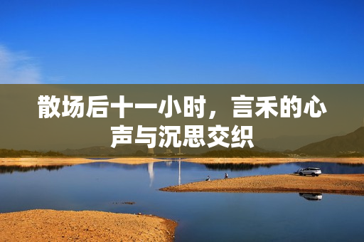 散场后十一小时，言禾的心声与沉思交织